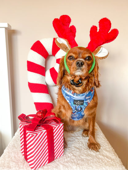 The North Pole Adjustable Harness