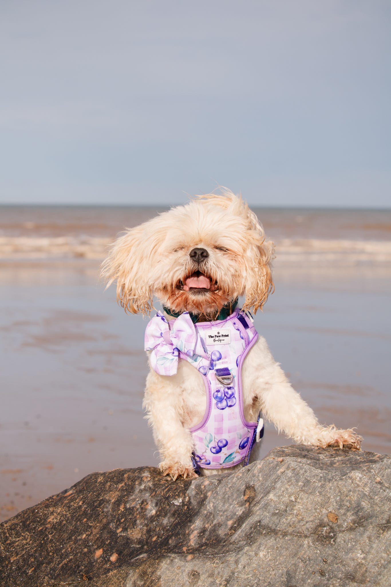 Blueberry Gingham Bow Tie