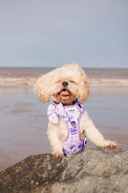 Blueberry Gingham Bow Tie