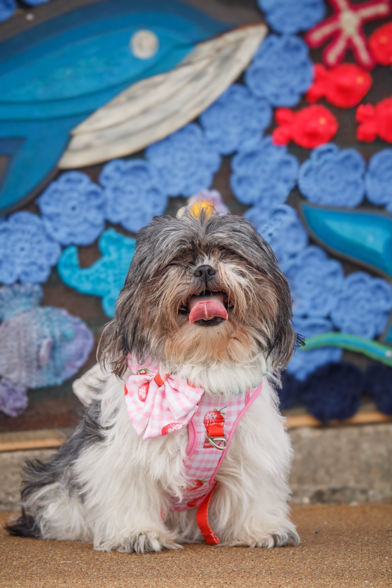 Strawberry Gingham Bow Tie