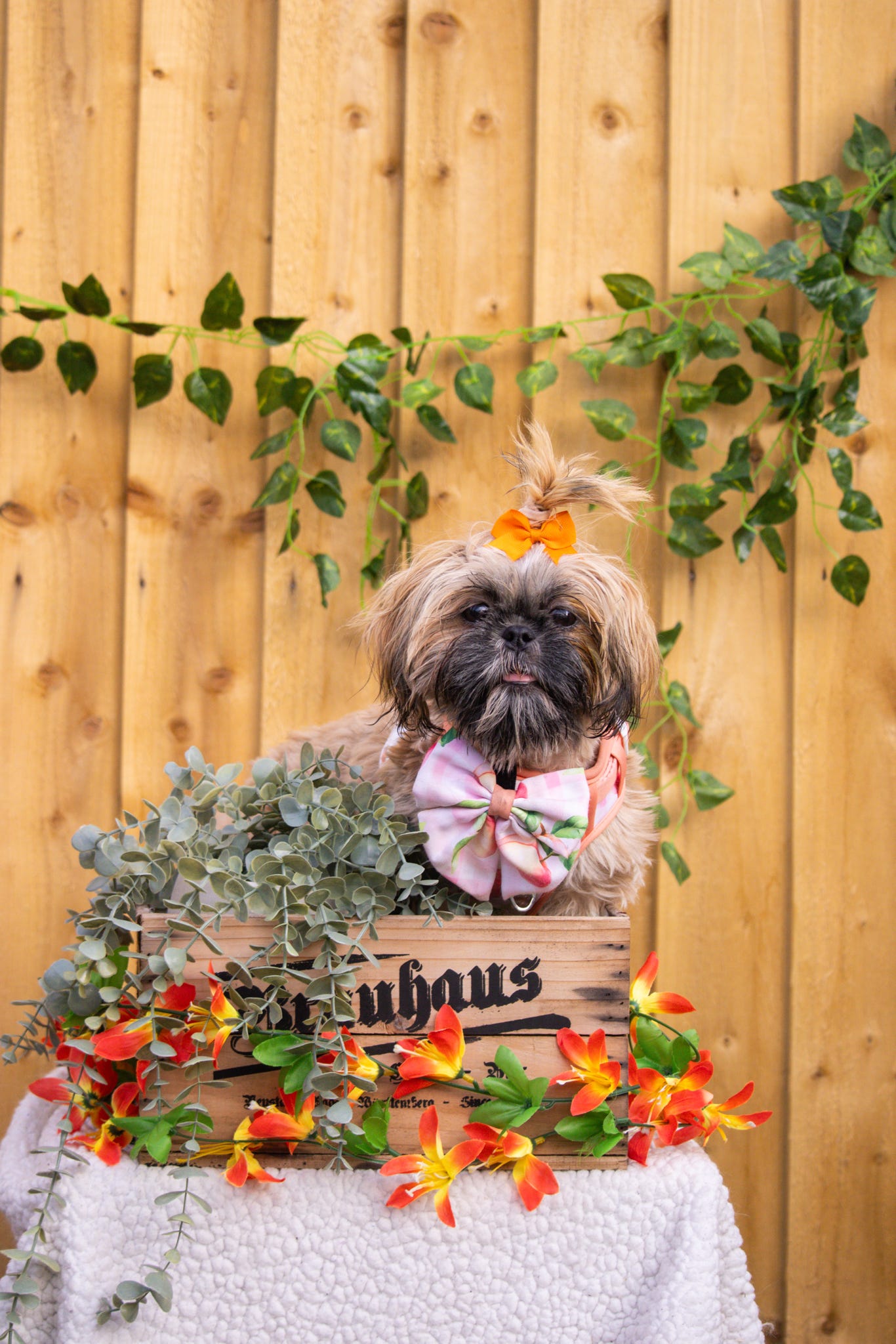 Peach Gingham Bow Tie