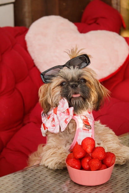 Strawberry Gingham Bow Tie
