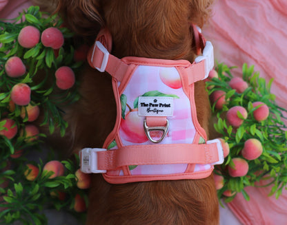Peach Gingham Adventure Paws Harness