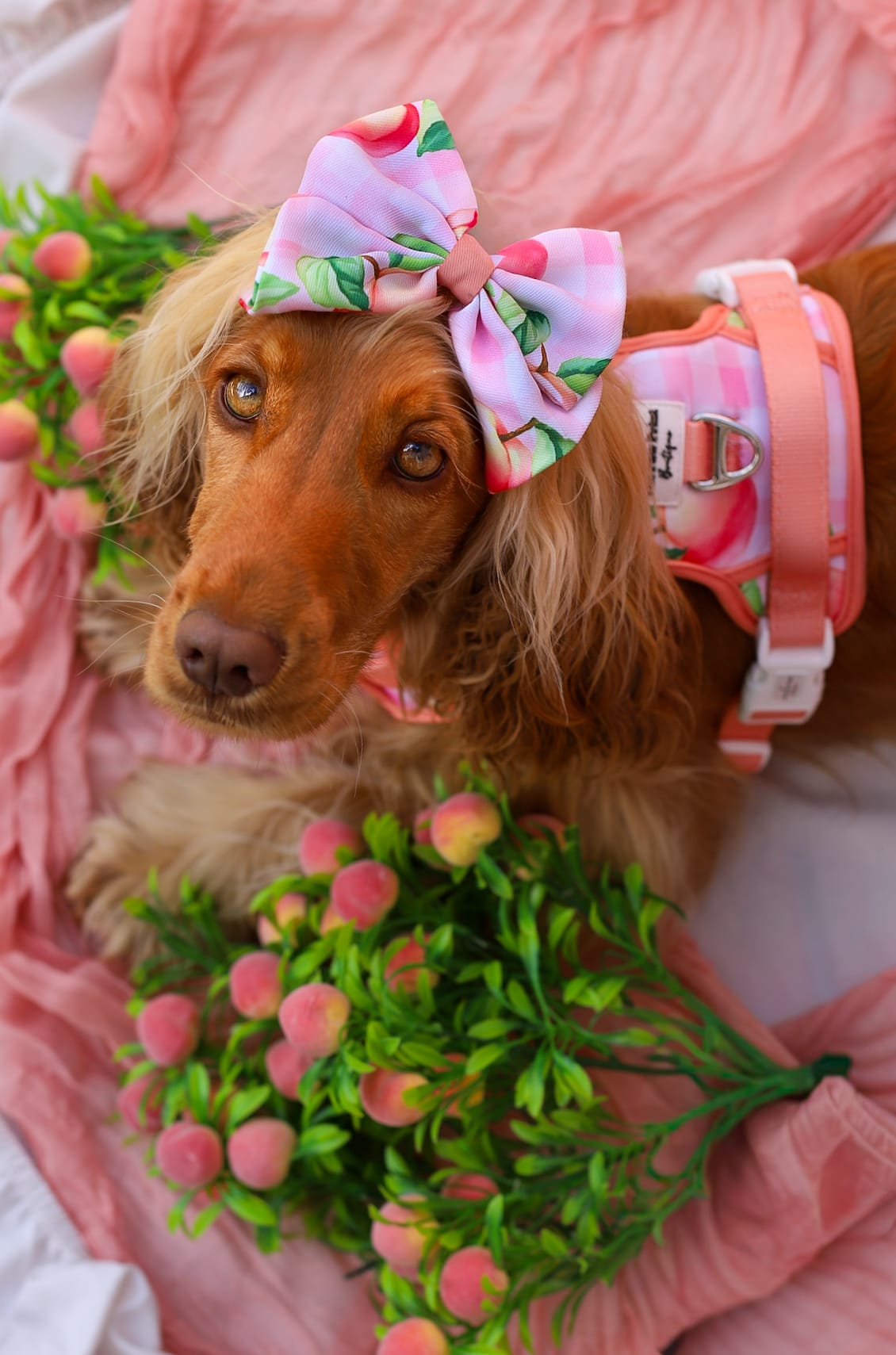Peach Gingham Bow Tie