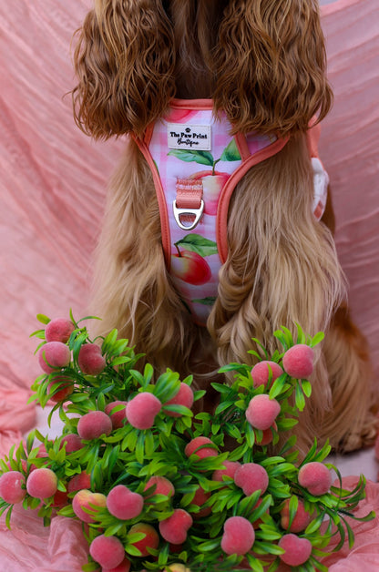 Peach Gingham Adventure Paws Harness