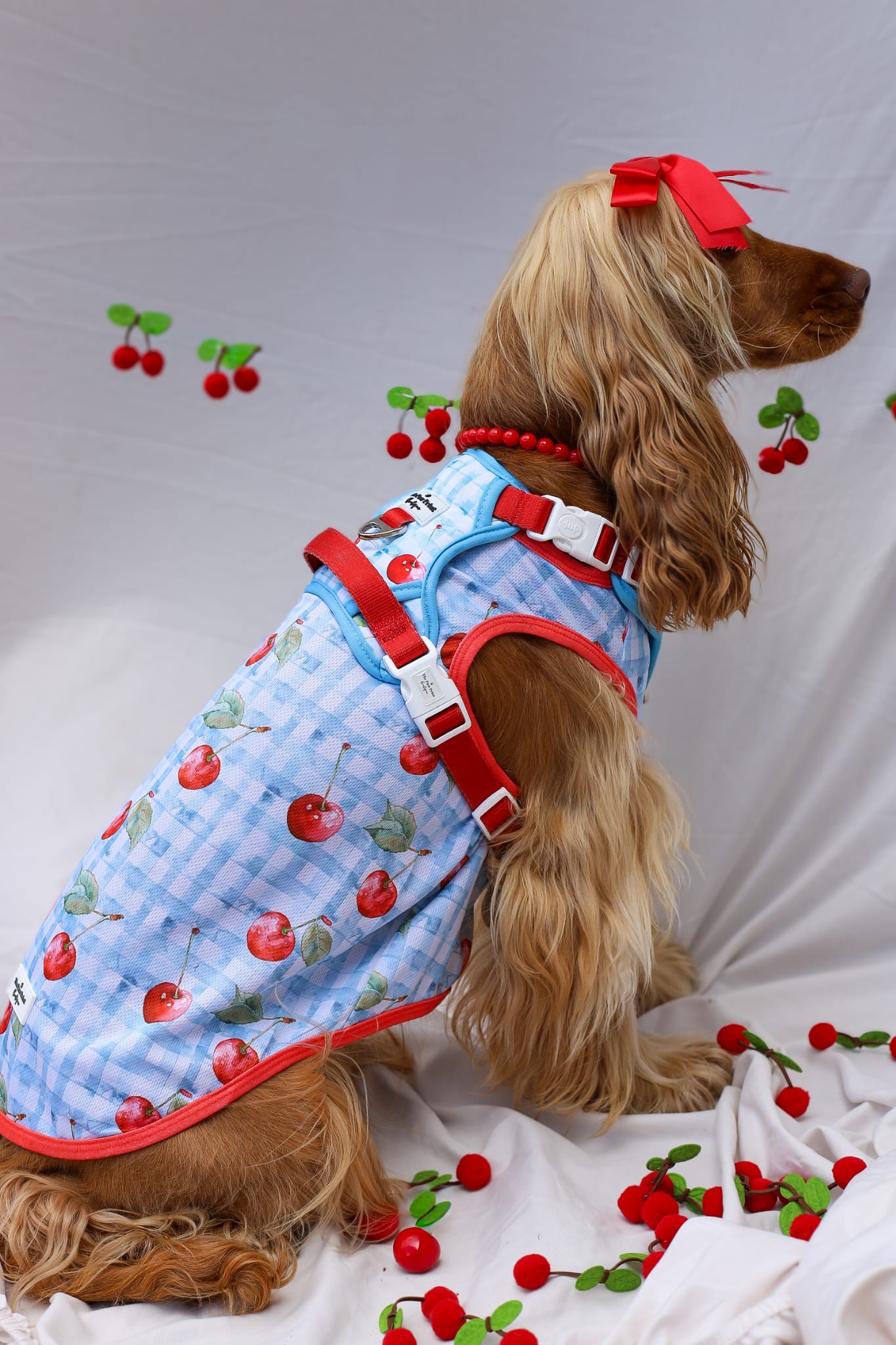 Cherry Gingham Adventure Paws Harness