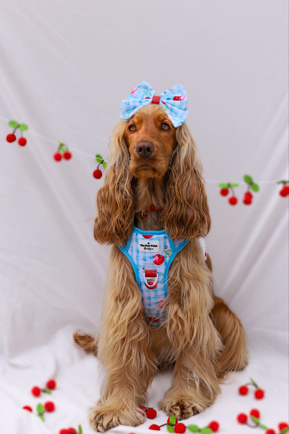 Cherry Gingham Adventure Paws Harness