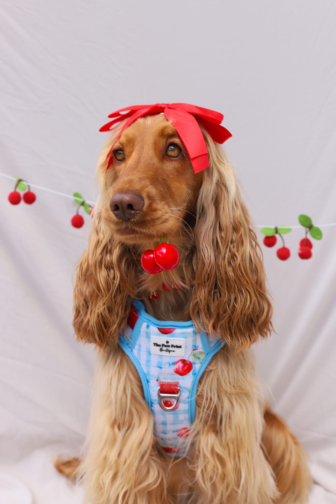Cherry Gingham Adventure Paws Harness