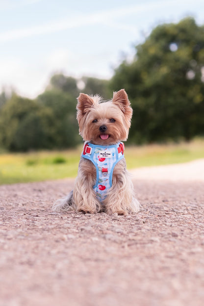 Cherry Gingham Adventure Paws Harness