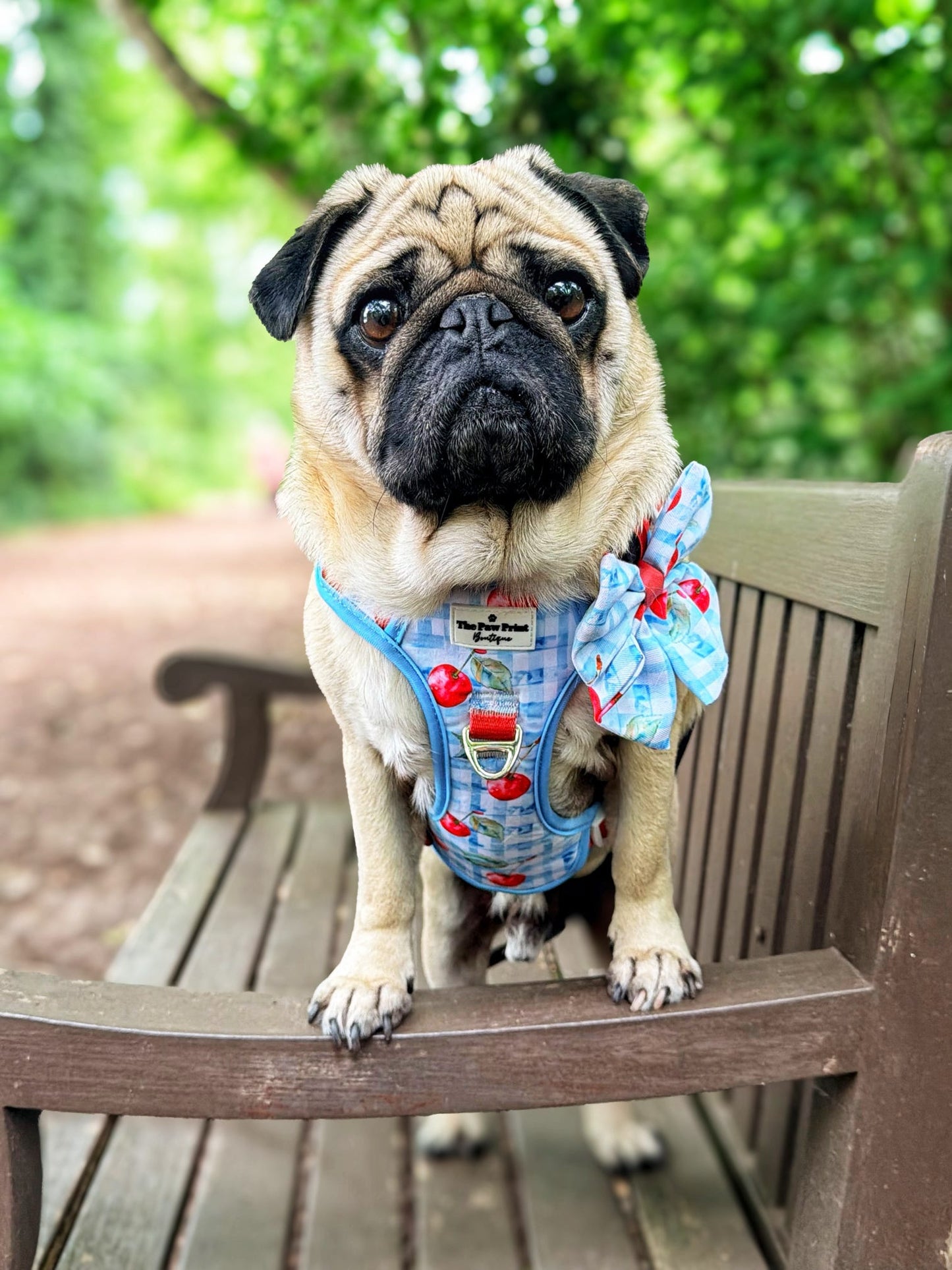 Cherry Gingham Bow Tie