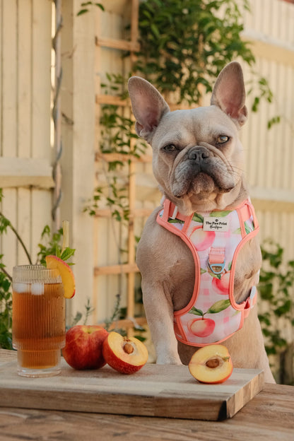 Peach Gingham Adventure Paws Harness