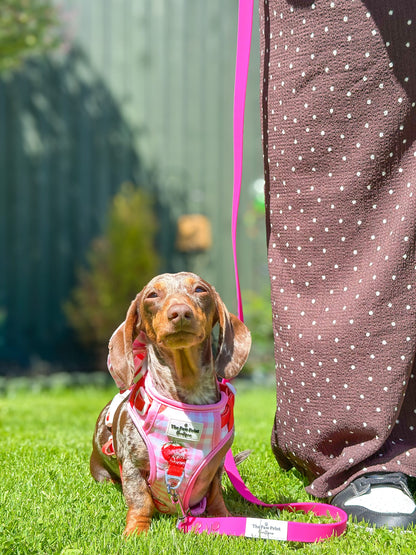 Strawberry Gingham Adventure Paws Harness