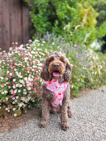 Strawberry Gingham Bow Tie
