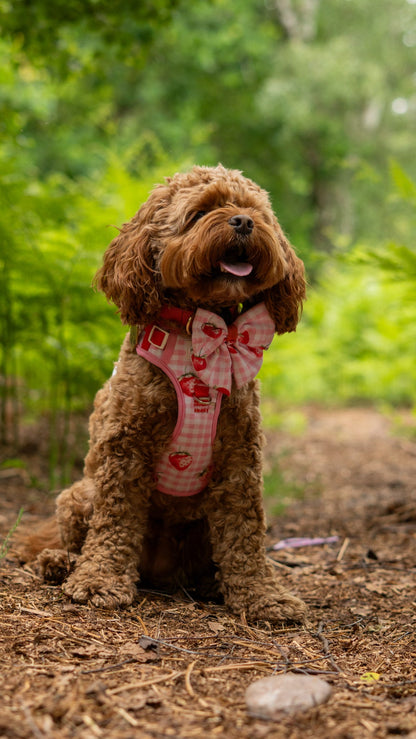 Strawberry Gingham Bow Tie