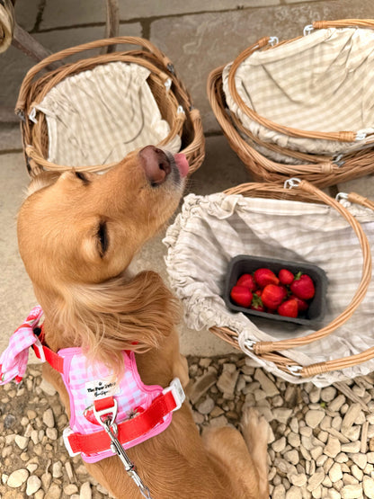 Strawberry Gingham Adventure Paws Harness