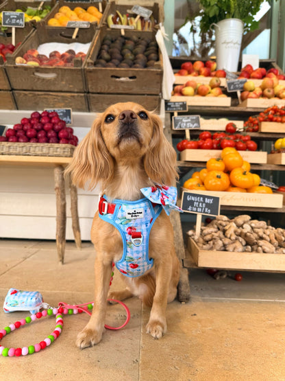 Cherry Gingham Adventure Paws Harness