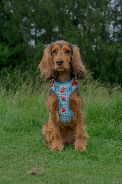 Cherry Gingham Adventure Paws Harness