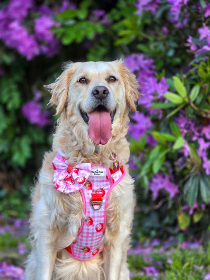 Strawberry Gingham Bow Tie