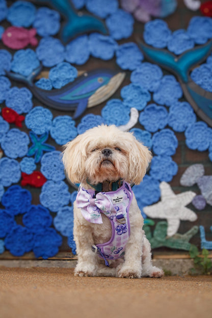 Blueberry Gingham Bow Tie
