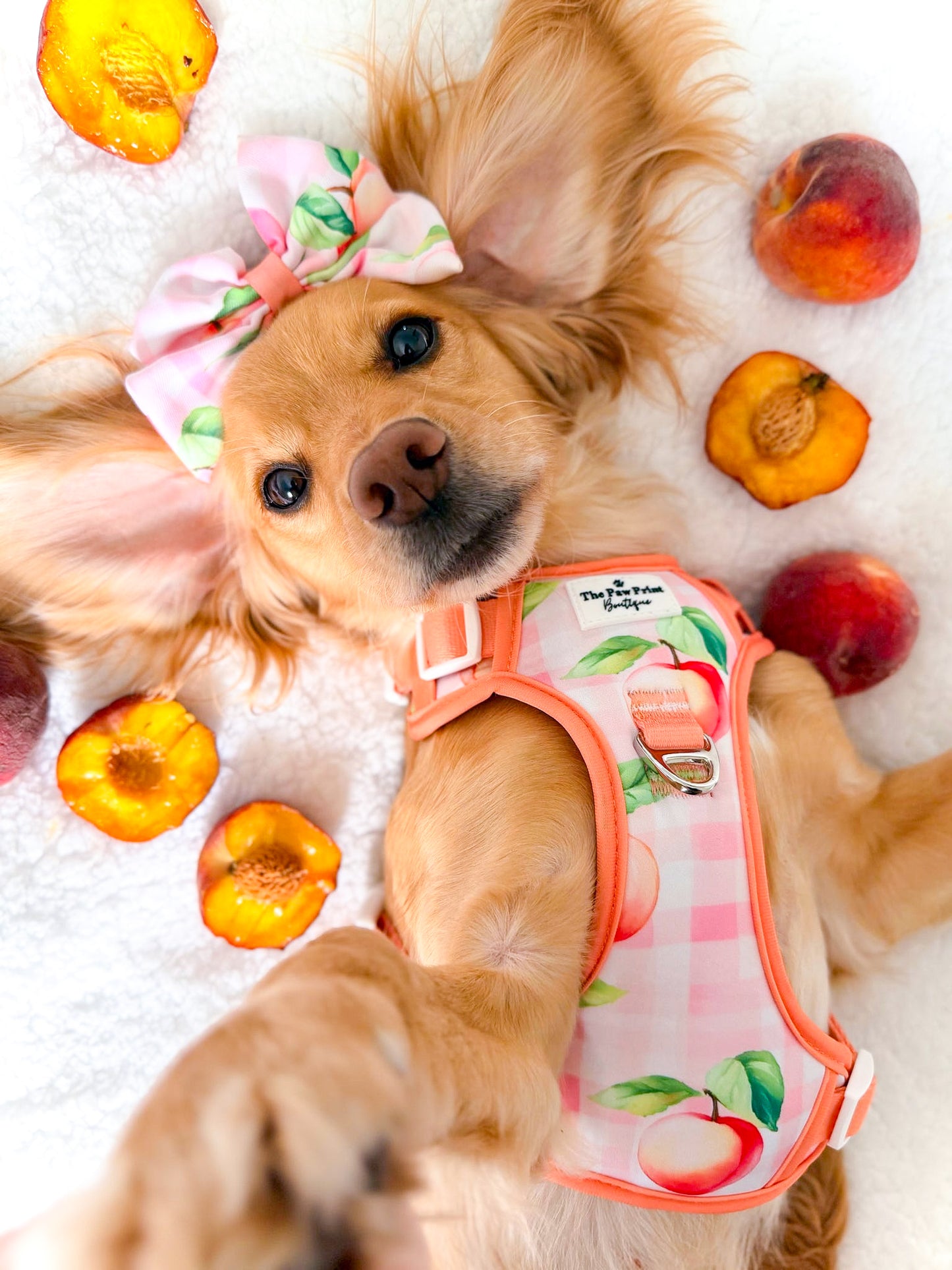 Peach Gingham Bow Tie