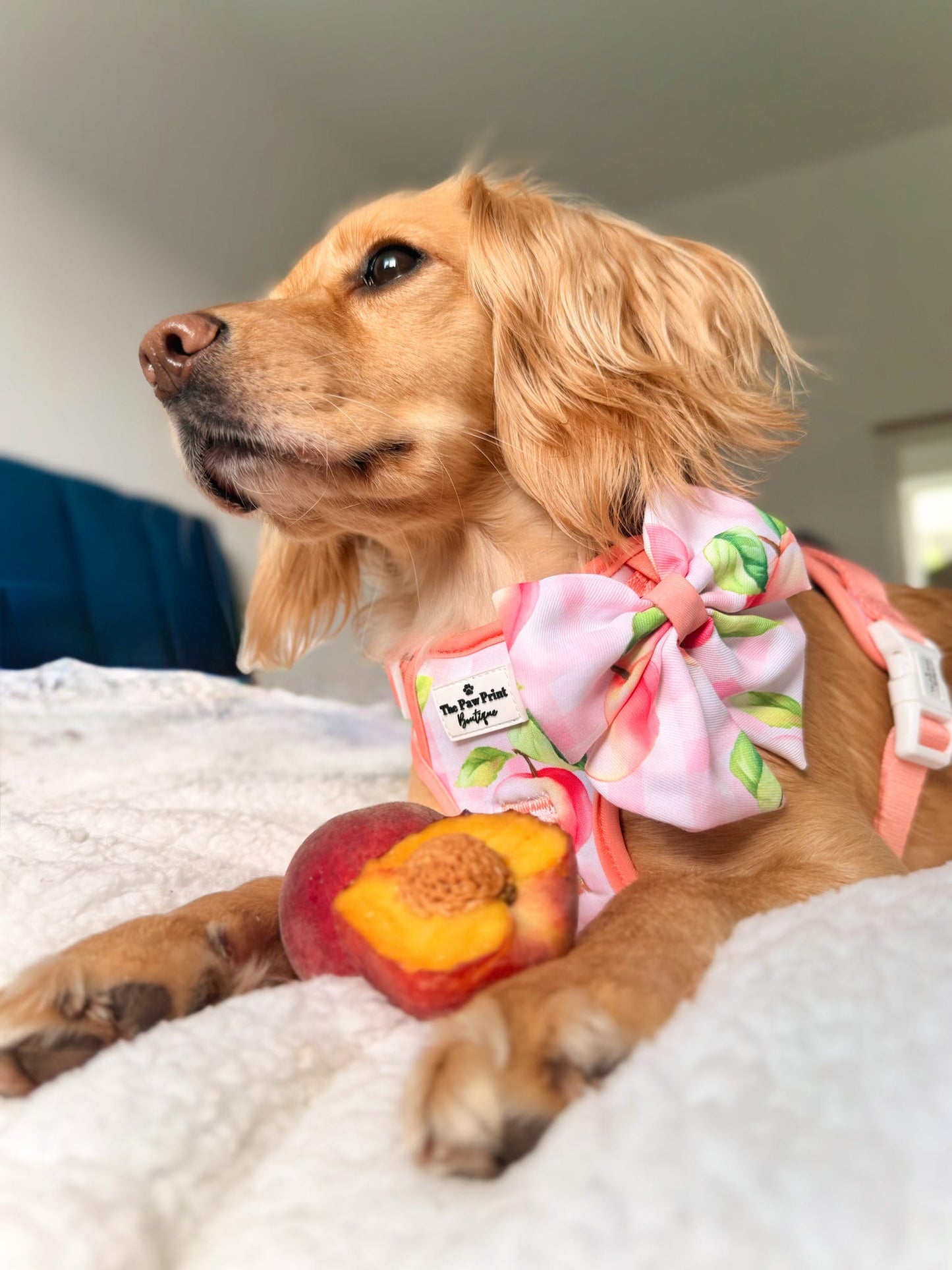 Peach Gingham Bow Tie