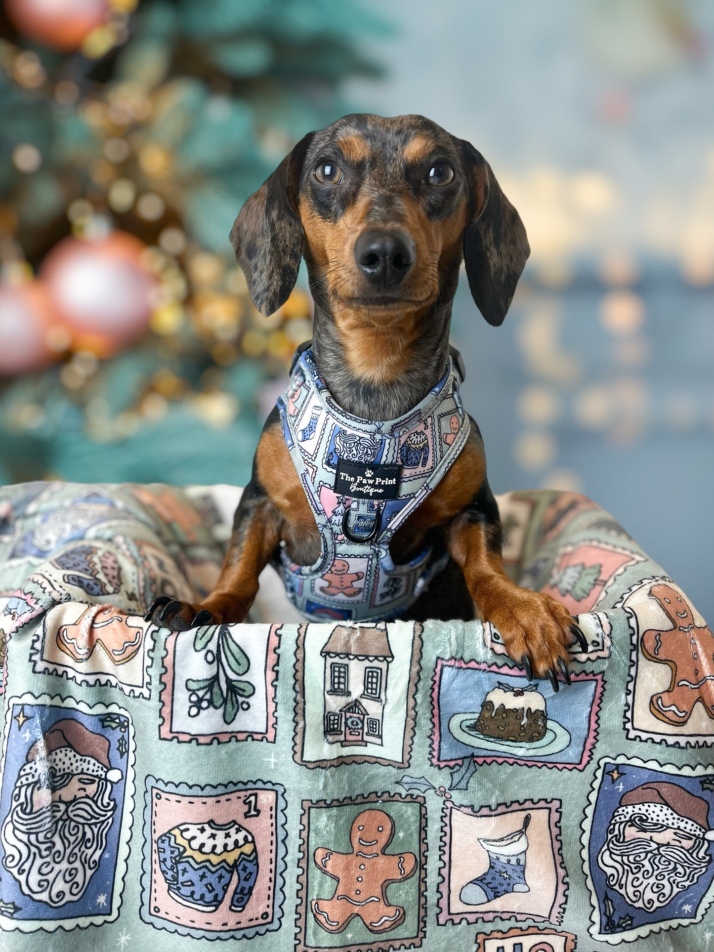 The Santas Stamps Adjustable Harness