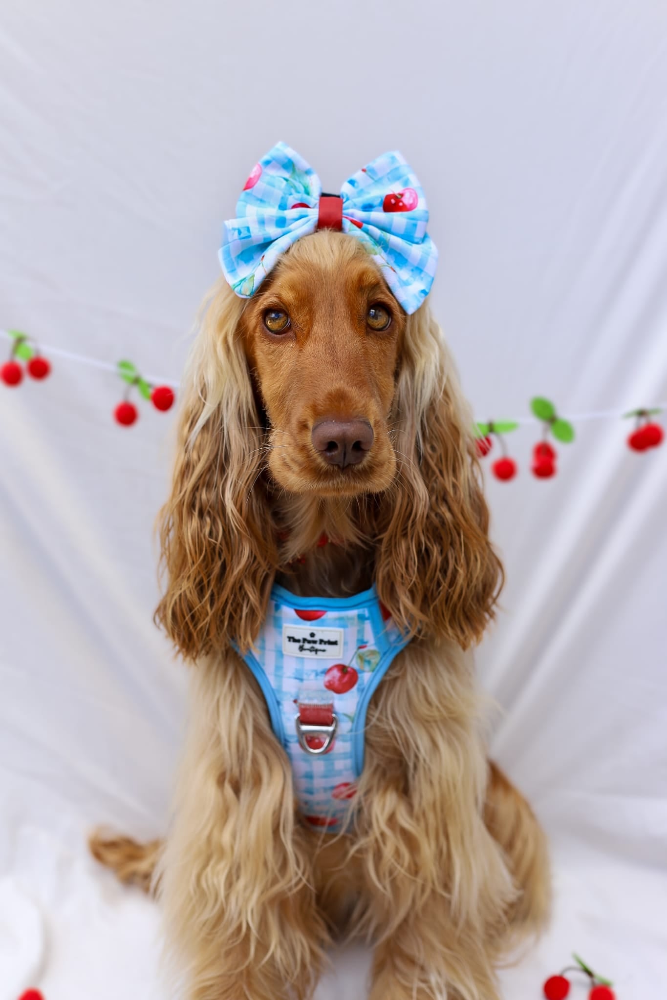 Cherry Gingham Adventure Paws Harness