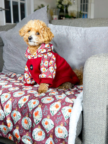 The Rockin' Robin Dog Hoodie