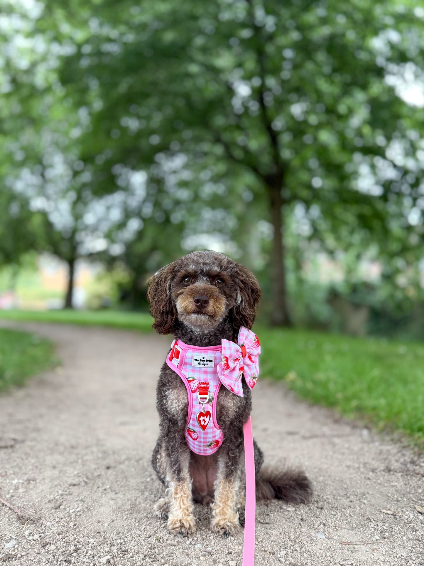 Strawberry Gingham Bow Tie