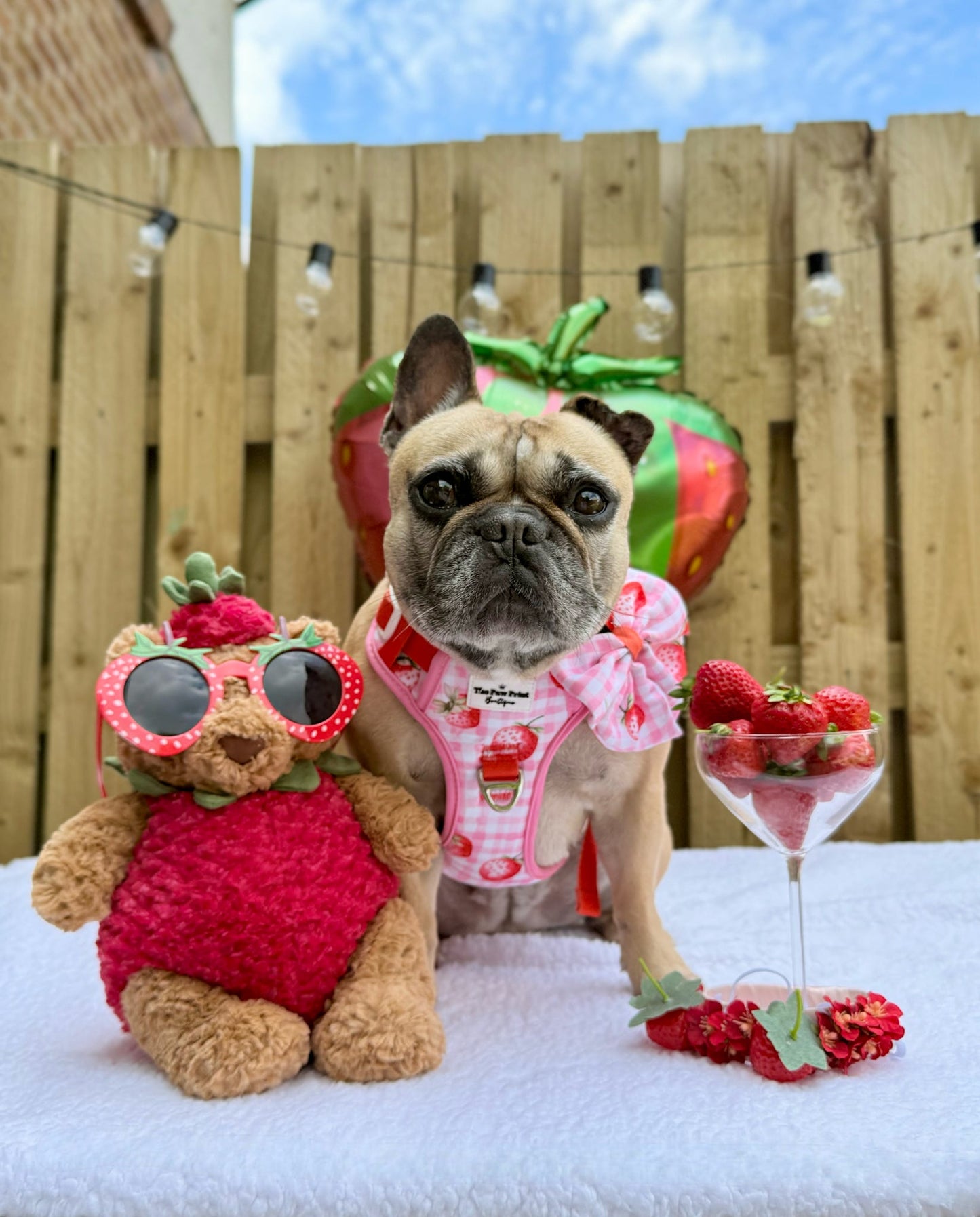 Strawberry Gingham Bow Tie