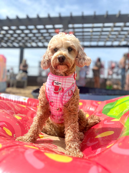 Strawberry Gingham Adventure Paws Harness
