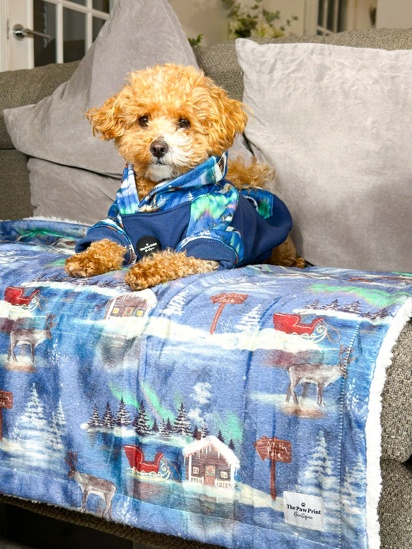 The North Pole Dog Hoodie