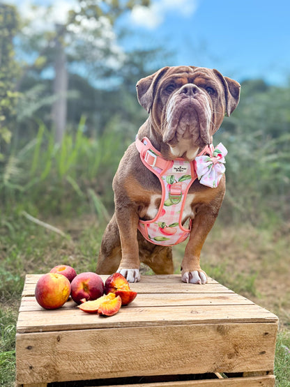 Peach Gingham Bow Tie