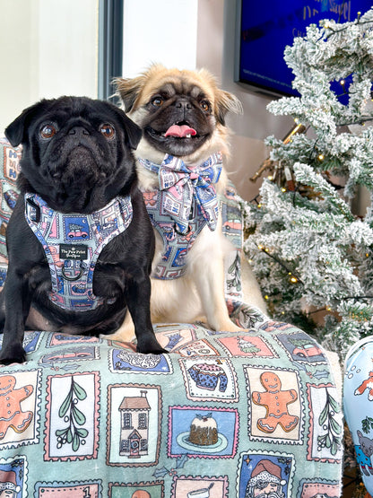 The Santas Stamps Adventure Paws Harness