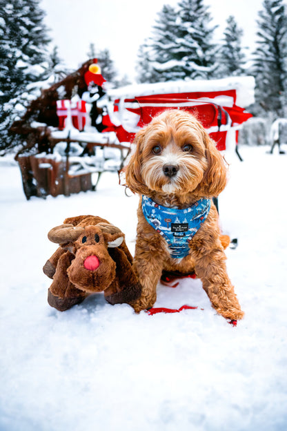 The North Pole Adjustable Harness