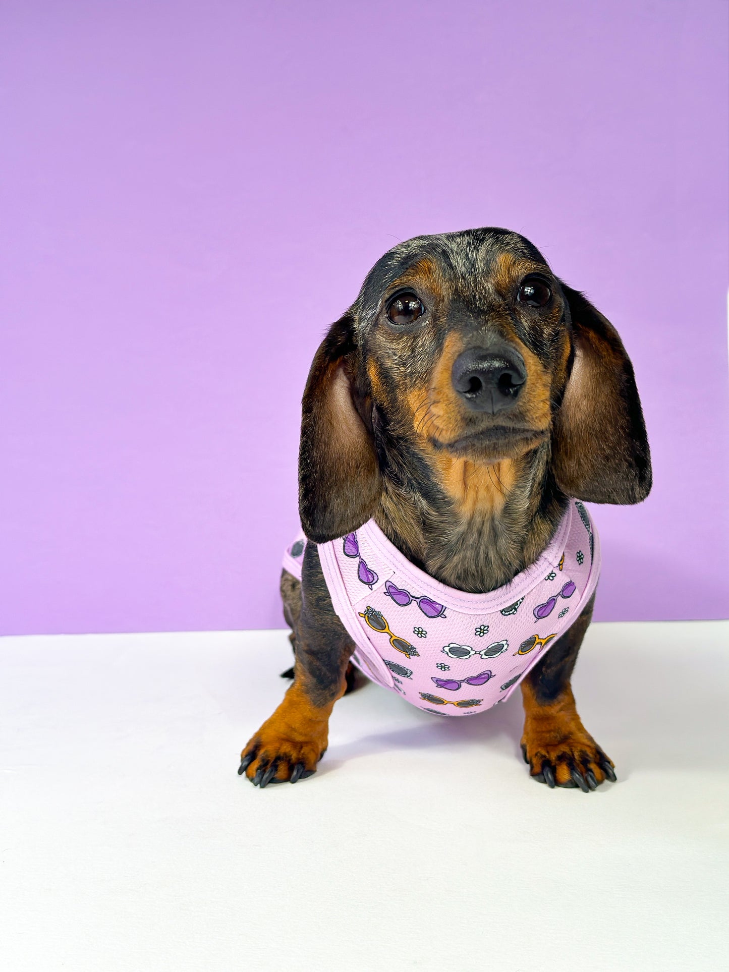Sassy Sunnies Cooling Vest