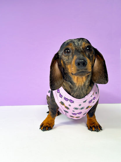 Sassy Sunnies Cooling Vest