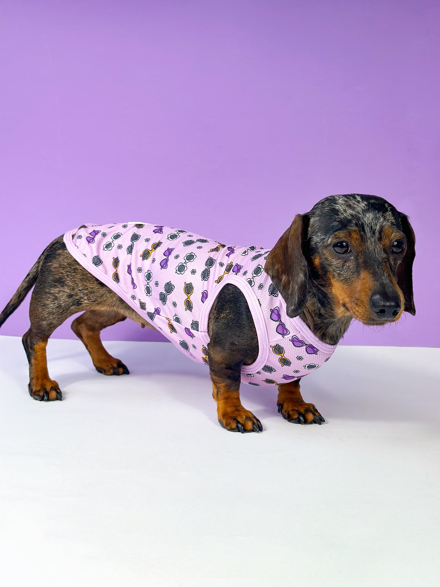 Sassy Sunnies Cooling Vest