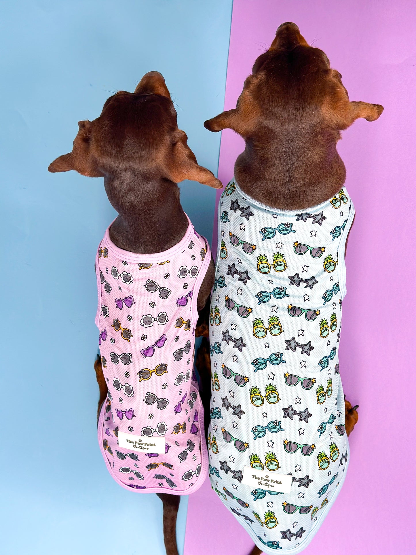 Sassy Sunnies Cooling Vest