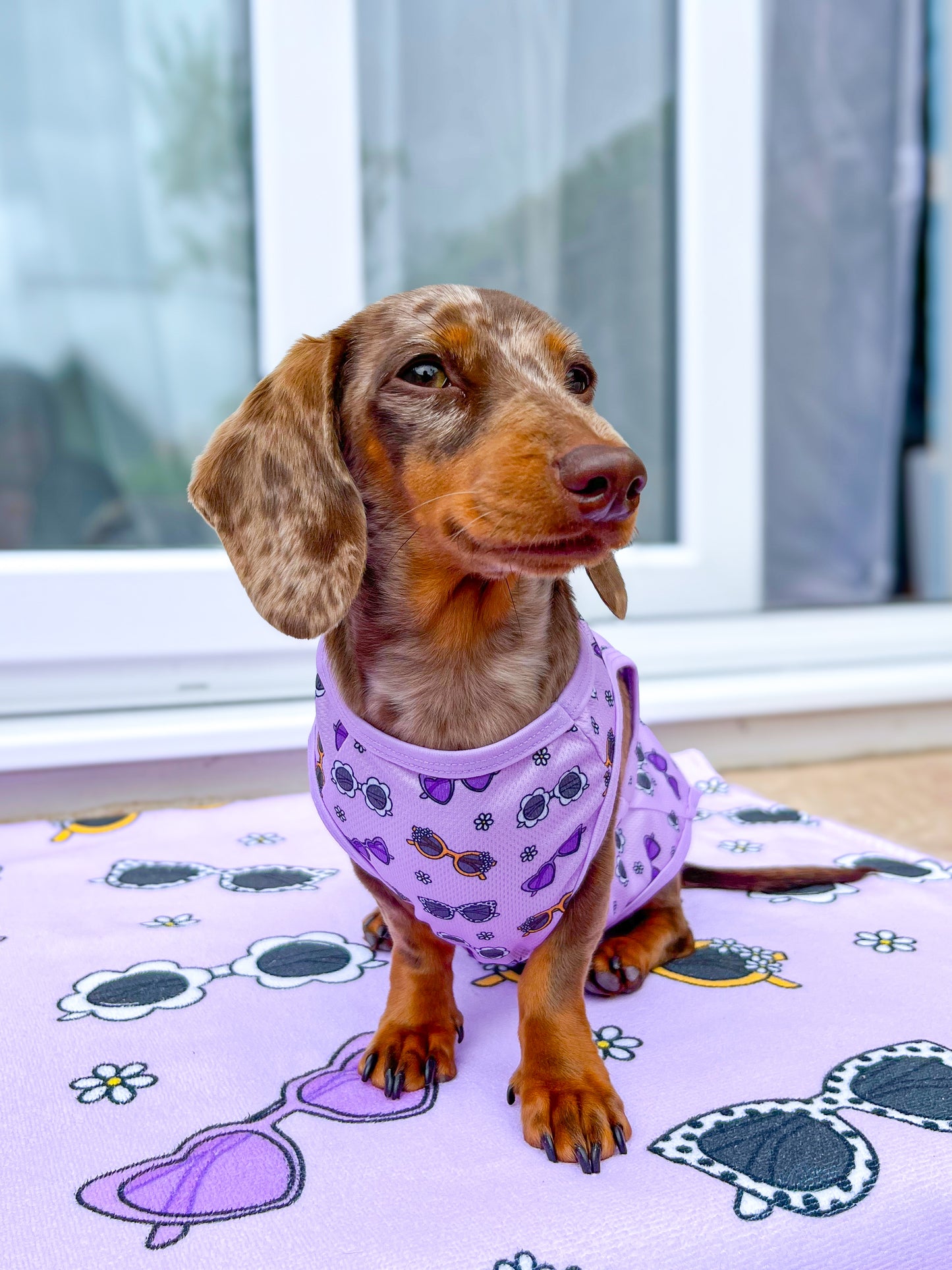 Sassy Sunnies Cooling Vest