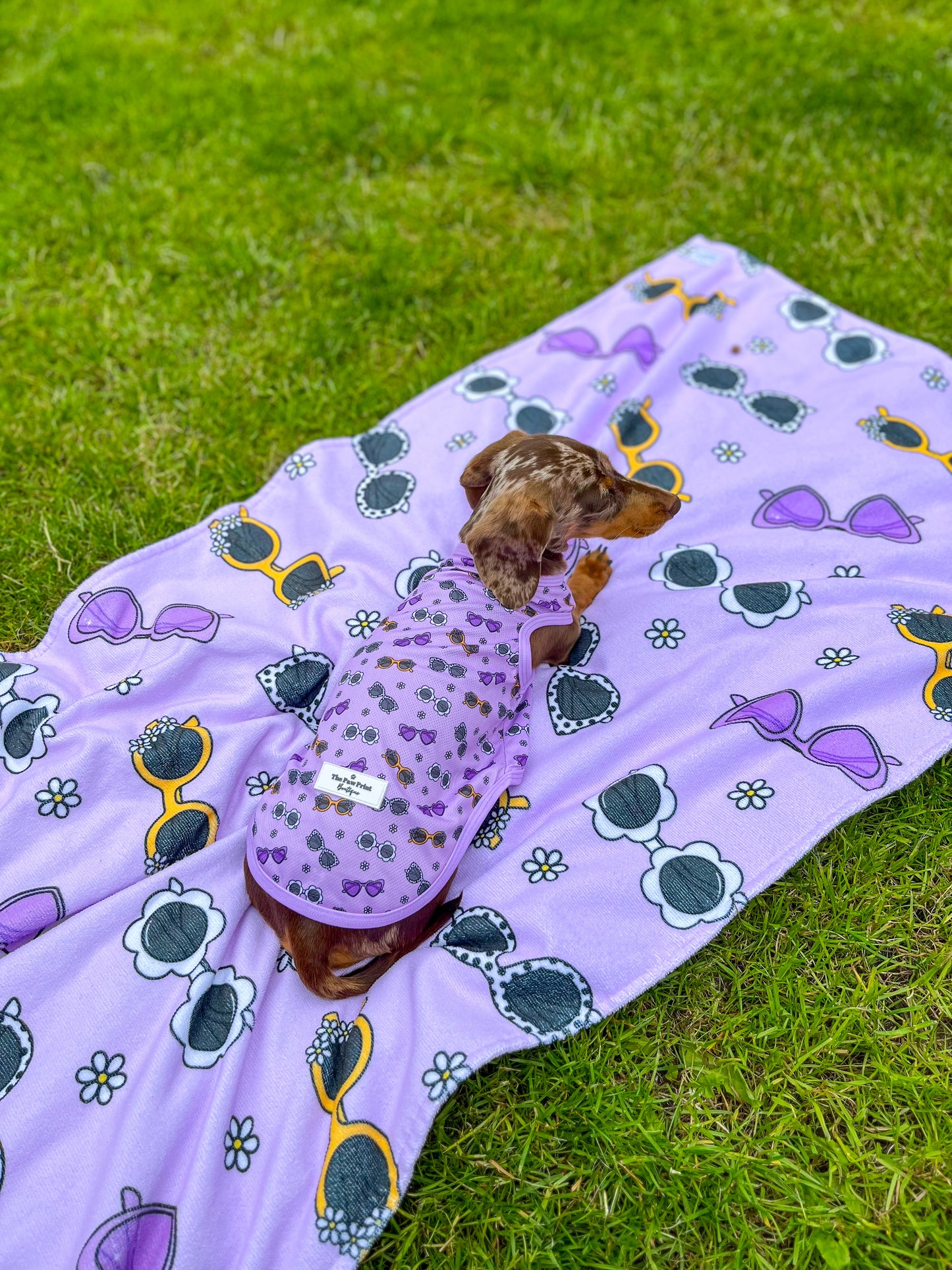Sassy Sunnies Cooling Vest
