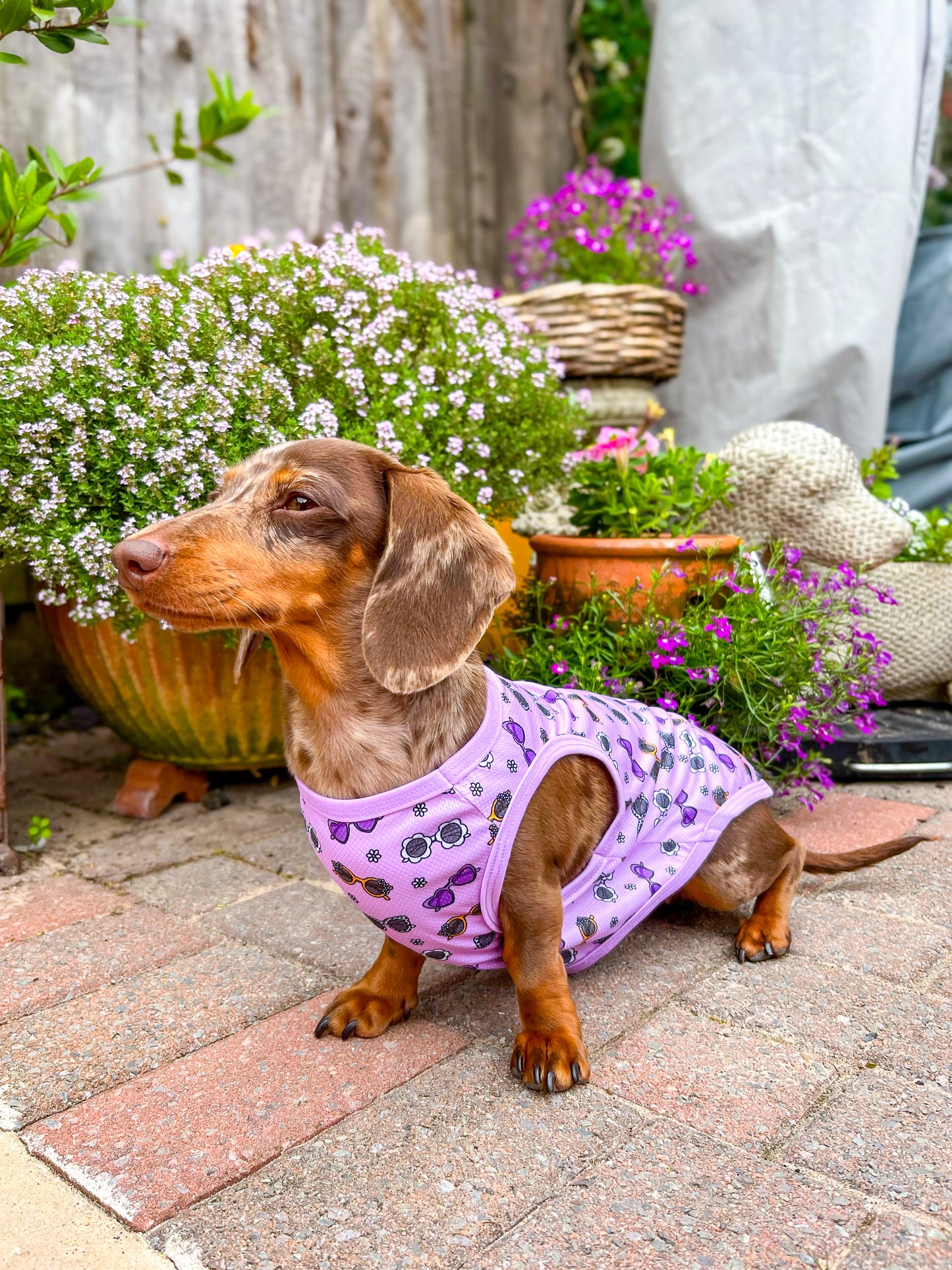 Sassy Sunnies Cooling Vest