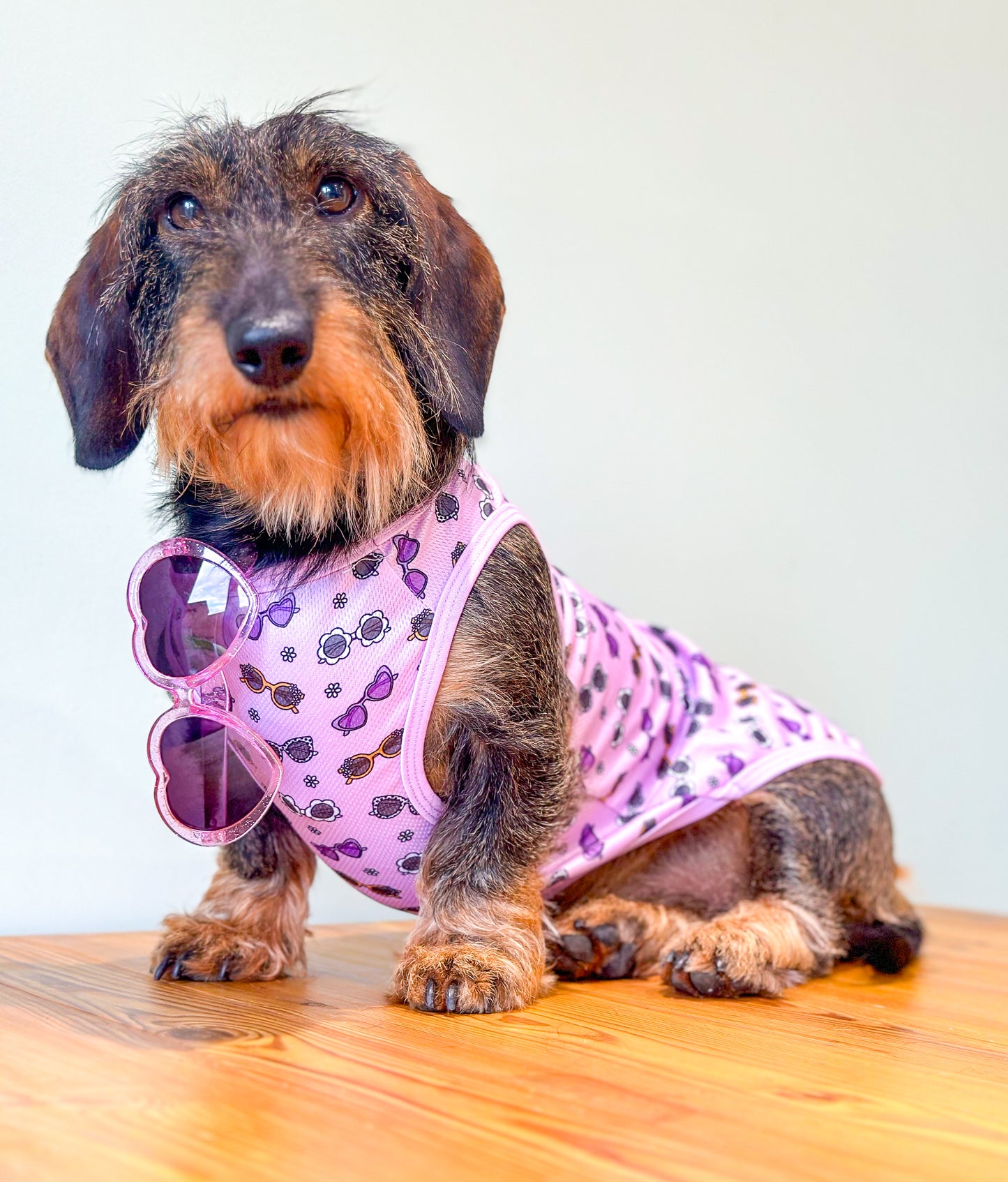 Sassy Sunnies Cooling Vest