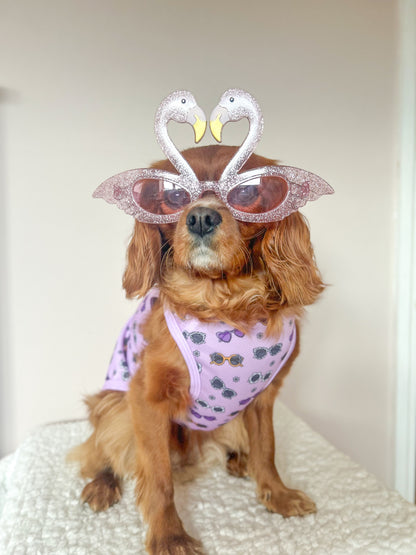 Sassy Sunnies Cooling Vest