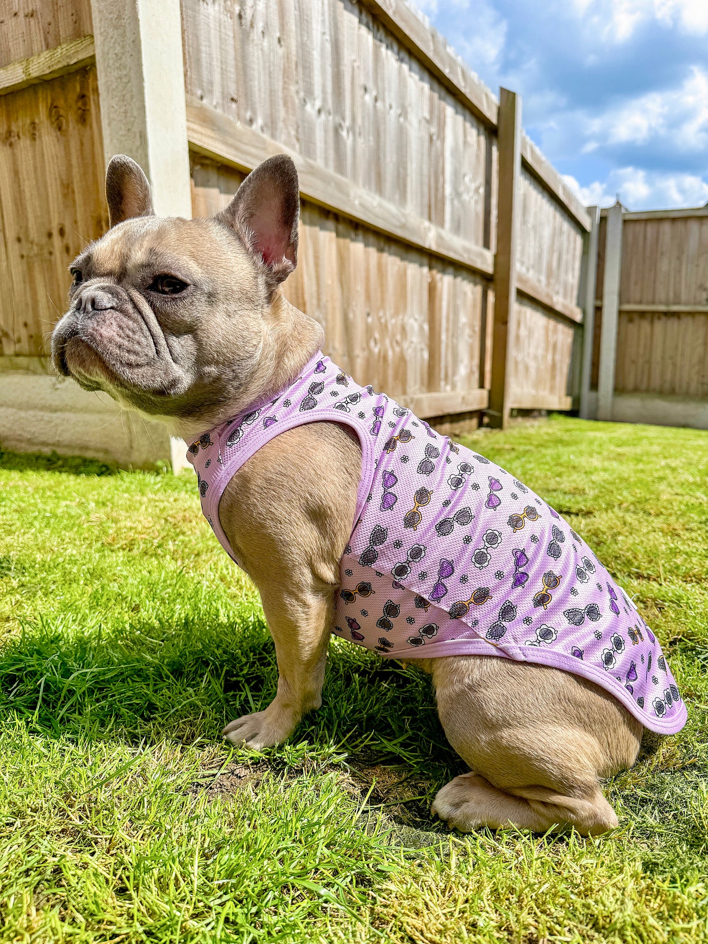 Sassy Sunnies Cooling Vest