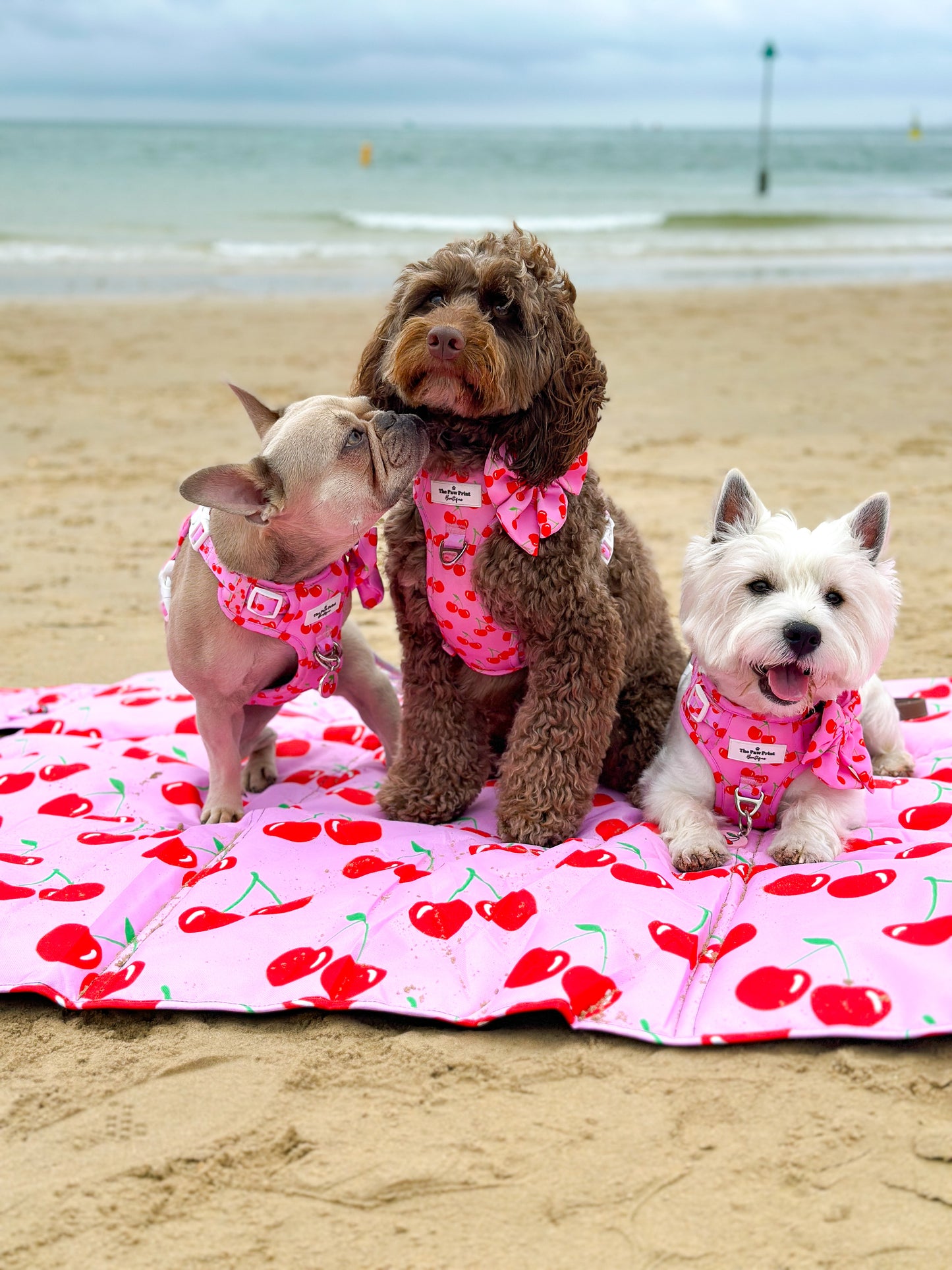 Cherry on Top Picnic Mat