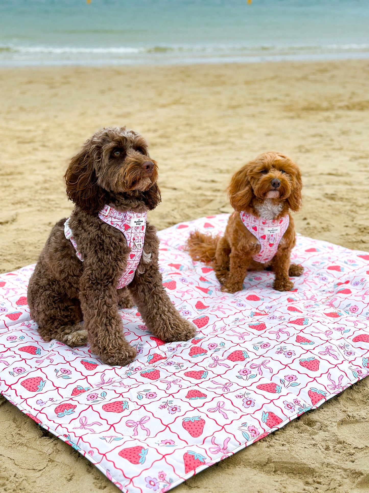 Bows & Berries Picnic Mat