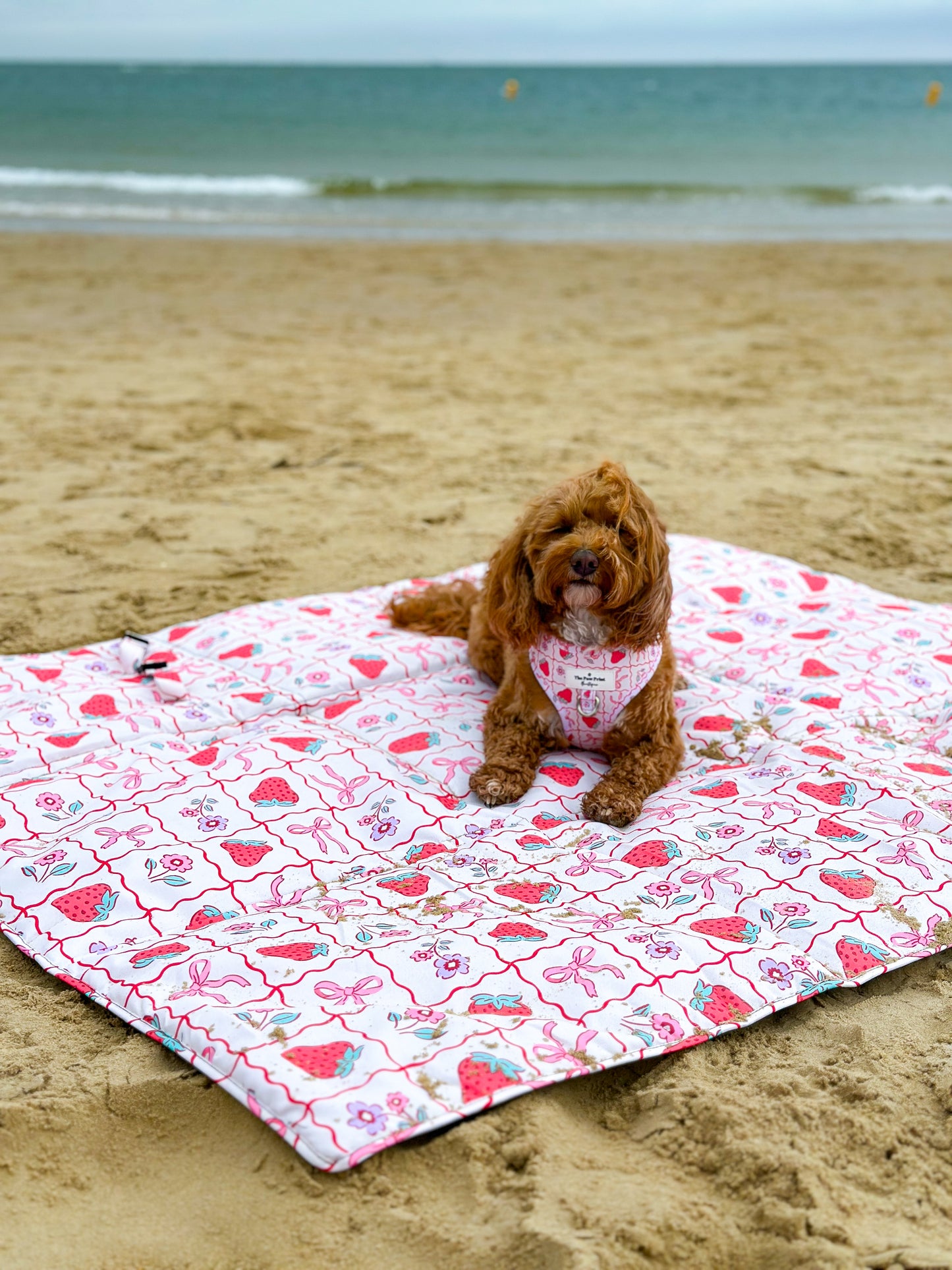 Bows & Berries Picnic Mat