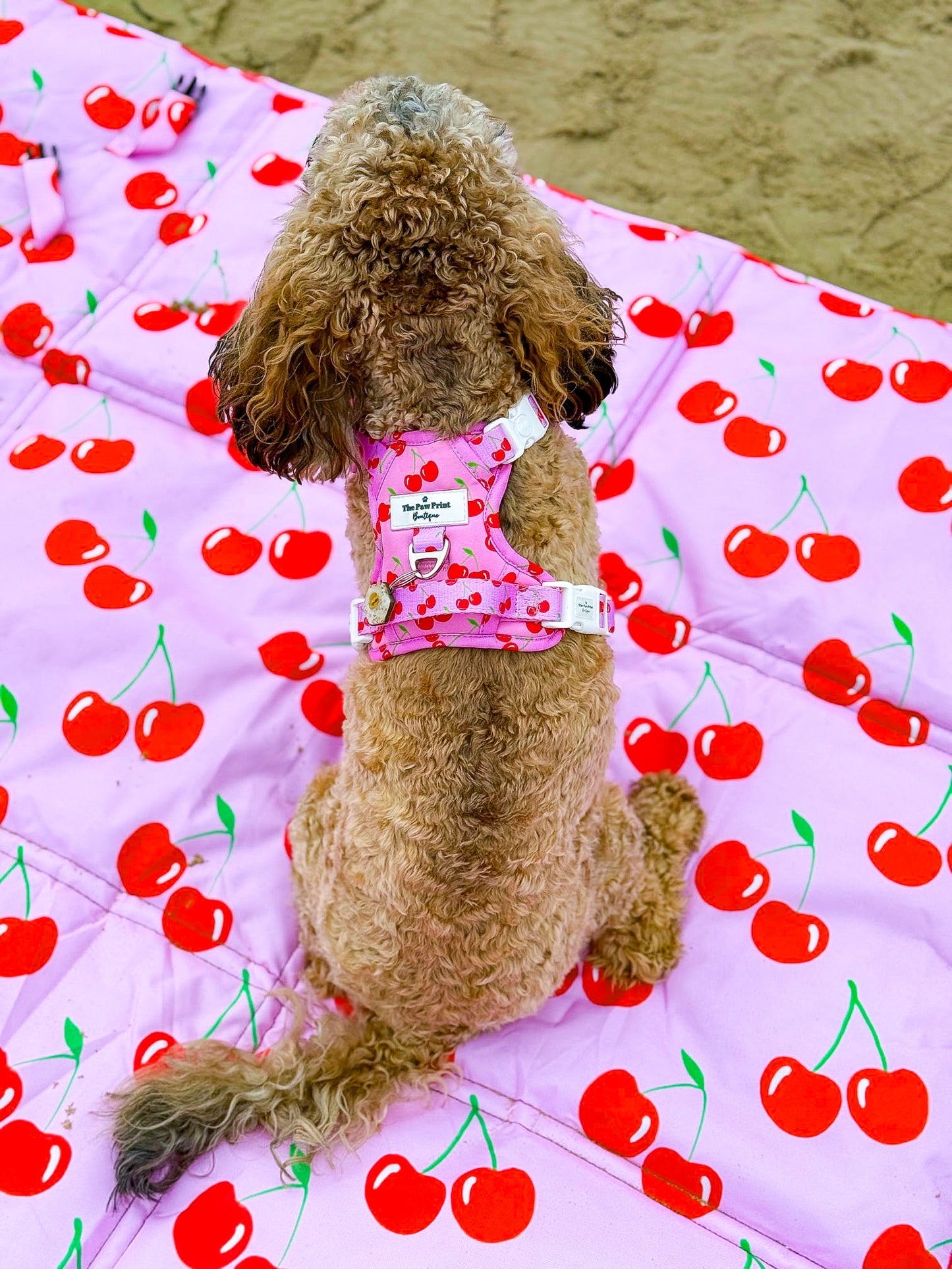 Cherry on Top Picnic Mat