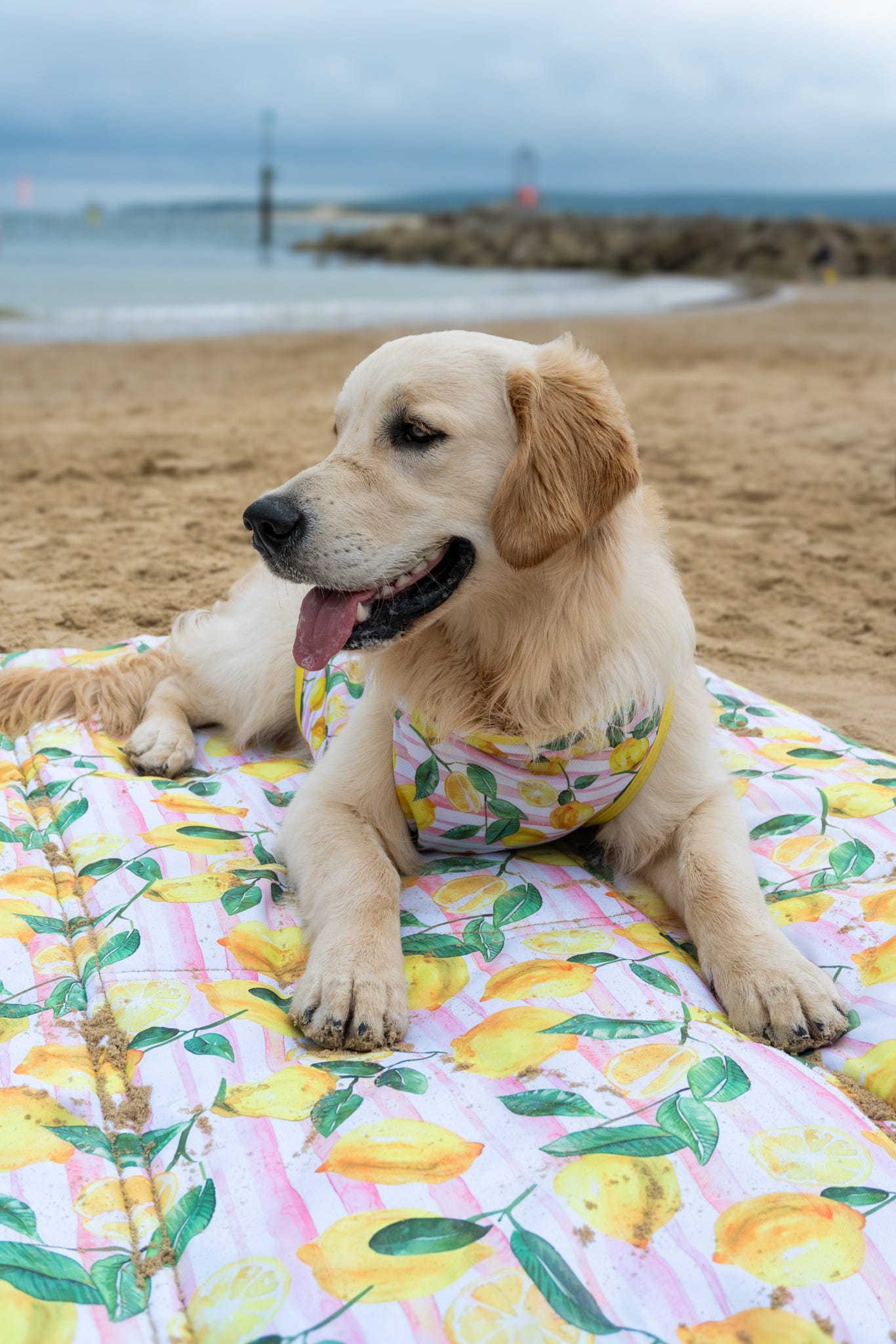 La Dolce Vita Picnic Mat